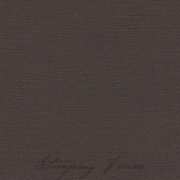 Bazzill Leinenstruktur CS "Brown"